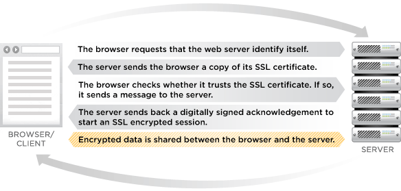 SSL certificate | Règles relatives à la protection des données à caractère personnel | EuroCoc