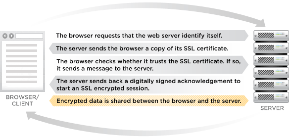 SSL certificate | Informativa sulla privacy | EUROCOC